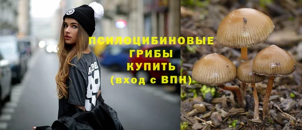 MESCALINE Горно-Алтайск