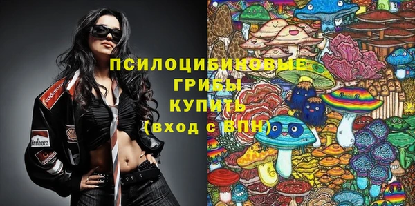 МДПВ Горняк
