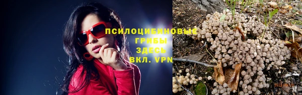 МДПВ Горняк