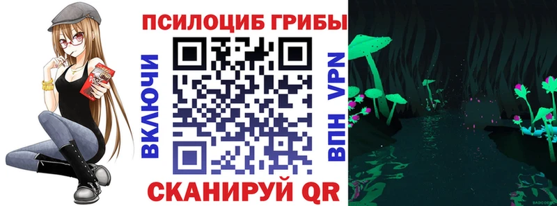 Псилоцибиновые грибы MAGIC MUSHROOMS  купить наркоту  Валуйки 