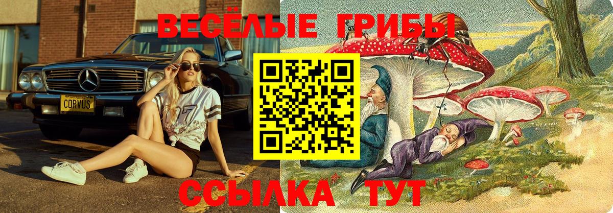 Псилоцибиновые грибы мицелий Валуйки