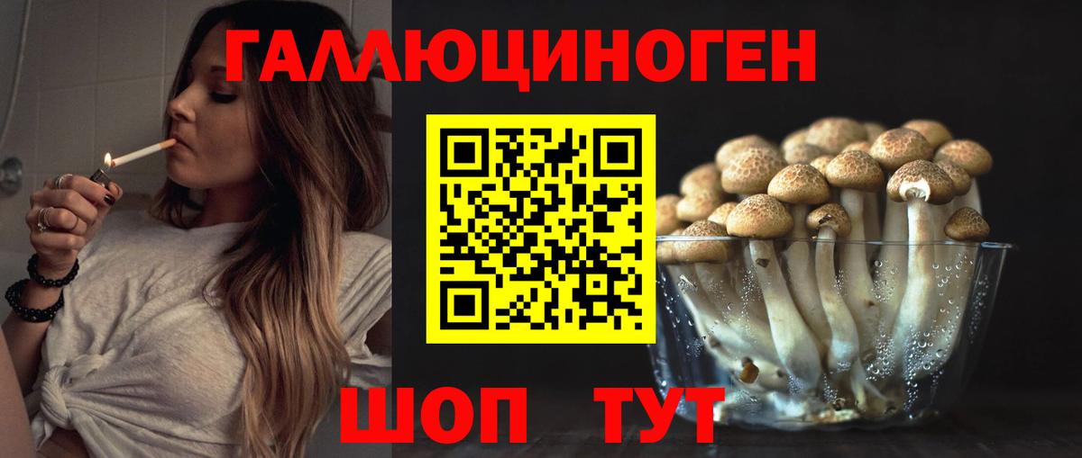Валуйки  наркота  Псилоцибиновые грибы MAGIC MUSHROOMS  Вход с VPN  Псилоцибиновые грибы GOLDEN TEACHER 